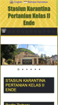 Mobile Screenshot of karantinapertanianende.info